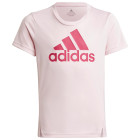 CLPINK/TEREMA